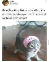 I Bought A Kirby Hat For My Cat But She Wont Let Me Take A Picture Of Her With It So This Is What Yall Get Ifunny Stupid Cat