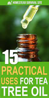 15 Practical Uses For Tea Tree Oil Tea Tree Essential Oil Tea Tree Oil Uses Tea Tree Oil