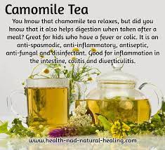 Camomile Tea Camomile Tea Healthy Teas Chamomile Tea