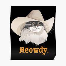 The 5 best what in tarnation memes. Sad Cat Wearing A Cowboy Hat Meme Poster By Celestialhco Redbubble