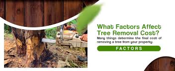 The following textbook presents classification and regression trees. Costs Of Tree Removal Services Richard S Tree Service