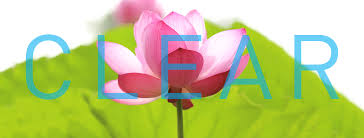 Yoga classes are held seven days a week, as well as workshops by expert teachers, live music yoga classes, kirtan (call and response chanting), and yoga retreats. Clear Yoga Iyengar Yoga In Rhinebeck Home Facebook