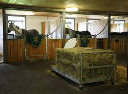 Since december 2012, steve is amongst an exclusive group of rolex brand ambassadors and very proud of it. At Home With Olympic Champion Steve Guerdat In Pictures Horse Hound