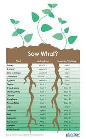 Planning A Garden Part 1 Plant Schedule Planitdiy When To Transplant Seedlings Garden Lawn And Garden