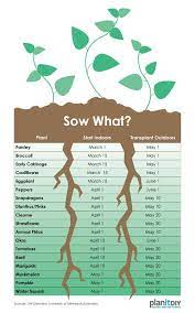 Once plants germinate they will need sunlight, either from a large window, or you can use a grow they adapt well and is a good plant to start with. Planning A Garden Part 1 Plant Schedule Planitdiy When To Transplant Seedlings Garden Plants