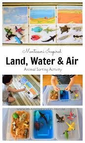 Introducing Toddlers To Animals In Land Water And Air Montessori Toddler Activities Montessori Activities Preschool Activities