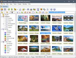 Xnview, one of the best and popular image viewer. Xnview 2 49 3 Neowin