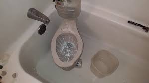 Check spelling or type a new query. 253 Miniature 1996 Kohler Wellworth Lite Toilet Syphon Jet Plugged Youtube