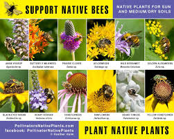 Indeed, i'm sure almost everyone knows what they look like. Bee Buzz Interesting Things To Know About Bees During National Honey Bee Month Nkytribune