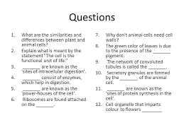 The cell wall is the target for antibiotics, as well as for carbohydrates that our immune system uses to detect infection. Eukaryotic Cell Substructure Plant And Animal Cells Ppt Download