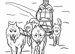 Creative cute puppy for coloring book design. View 17 Dog Sled Team Coloring Pages