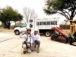 Quality pest control of yorba linda offers the #1 residential pest control in yorba linda, california. Tree Service Dallas Tx Isa Certified Arborist Tree Removal Trimming