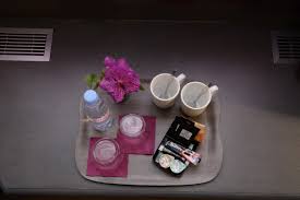 DSC_0327 – Hôtel Gratte-ciel Lyon Villeurbanne