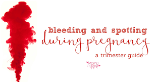 Track your baby's growth using this simple visual timeline. Bleeding And Spotting During Pregnancy Mama Hippie