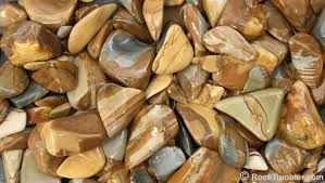 Image result for jasper