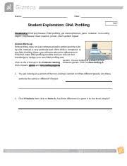 Dna profiling gizmo answers quizlet. Gizmo 6 Dna Profiling Revised 2020 Docx Name Date Student Exploration Dna Profiling Vocabulary Dna Polymerase Dna Profiling Gel Electrophoresis Course Hero