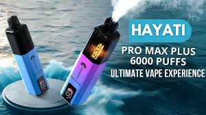 Hayati Pro Max Plus 6000 Puffs Ultimate Vape Experience