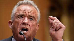 Kagan's Not Gay, Friends Say