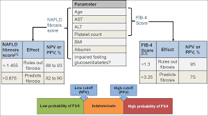 What To Do Fatty Liver Foundation