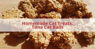 Remember that treats should be given as part of a healthy balanced diet for your pet and taken into account when weighing their daily food cat tuna treats ingredients: Homemade Cat Treats Tuna Cat Balls