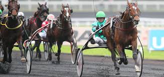 Les qualifiés d'office et les autres. Prix D Amerique Races Zeturf Qualif 3 And 4 Key Figures Grand Prix D Amerique