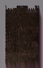 Image result for Metasphaeria diplodiella