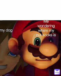 cocomelon rule 34 | @nameless_1630285227 | Memes
