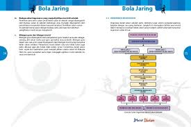 Sekolah sebagai institusi pendidikan utama bukan sahaja menumpukan bidang akademik atau kurikulum, malah diberikan tanggungjawab turut memfokuskan bidang kokurikulum. Bola Jaring Sekolah Rendah