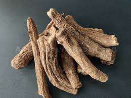 Image result for Costus