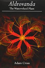 Image result for Aldrovanda