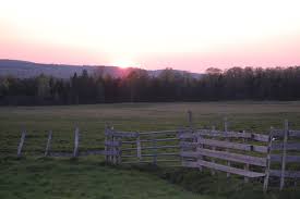 Northern Vermont Land For Sale Century 21 Farm Forest