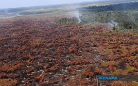 Kuala Langat Selatan forest fire ...