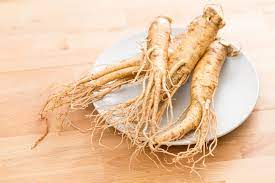 Cara racik obat kuat dari gingseng : Manfaat Ginseng Untuk Mengatasi Berbagai Masalah Seksual Pria