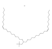 Dotma