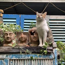 Kellan's Kingdom- Carroll's first All-Inclusive Playground