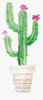 Today's post will feature a fabulous watercolor cactus painting that anyone can attempt. Succulent Plant Watercolor Painting Cactus With Flower Drawing Hd Png Download Transparent Png Image Pngitem