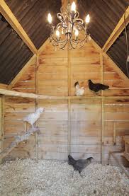 Maybe you would like to learn more about one of these? 37 Backyard Chicken Coop Ideas And Types Photos And Charts Home Stratosphere