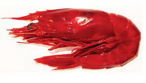 Gamberi carabineros (cari ma secondo me il miglior crostaceo). Carabinero Divino Gambero Rosso Agrodolce