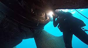 The air mixed gas commercial diver program does not qualify a student to. Wartsila Underwater Services