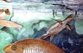 See more ideas about extinct animals, prehistoric animals, prehistoric. Fragments Of Ancient Lives Umoonasaurus Demoscyllus Peter Schouten
