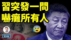 MODELOS DE PRANCHAS : DNA BY TBS SURFBOARDS