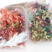 That is a very special and specific project but there are tons of other things you can do with dried flowers too. Shop Flower Dried Resin Uk Flower Dried Resin Free Delivery To Uk Dhgate Uk