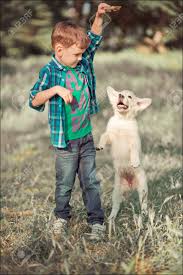 Cute Handsome Boy Teen With Blue Eyes Playing Outdoor Amazing White Pink Labrador Retriever Puppy Enjoying Summer Sunny Day Vacation Weekend With Full Happyness Happy Smiling Kid With Best Friend Stock Photo Picture