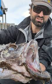 Old Port Porto Vecchio (2025)