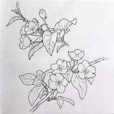 Yablonevyj Cvet Risunok Poisk V Google Avec Images Dessin Crayon De Couleur Dessin Fleur Fleur De Cerisier