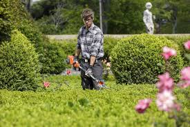 Don't just walk up to your bushes and start chopping away. When And How To Trim Your Hedge A Simple Guide