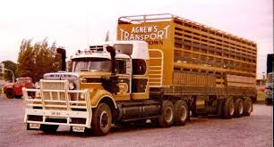 Image result for Irish White 1980 Kwikasair