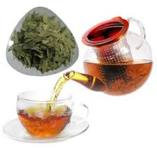 Jenis bahan minuman ini kini semakin banyak dikenal di kalangan masyarakat karena bermanfaat bagi kesehatan. Resep Herbal Teh Jati China Lunturkan Lemak