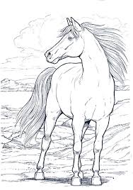 Cavallo 11 Disegni Da Colorare Per Adulti Disegni Da Colorare Disegno Di Cavallo Disegni Di Cavalli
