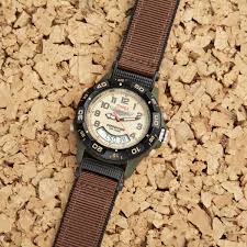 Pilot Wings Watch By Timex